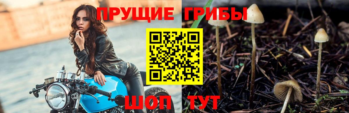 Иваново  Псилоцибиновые грибы мицелий  Вход с VPN 